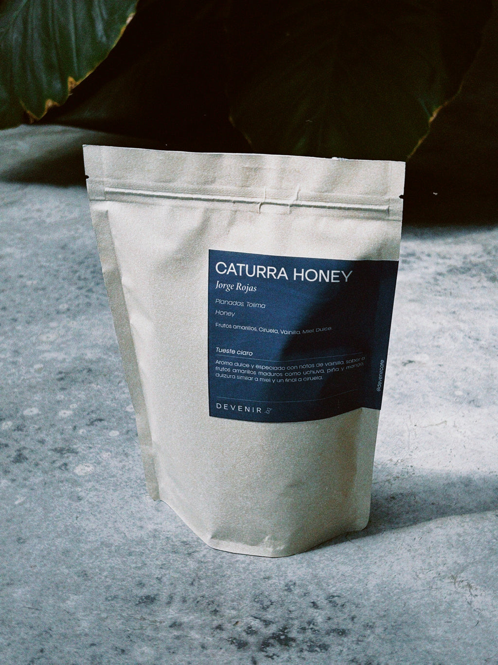 Caturra Honey