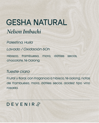 GESHA NATURAL
