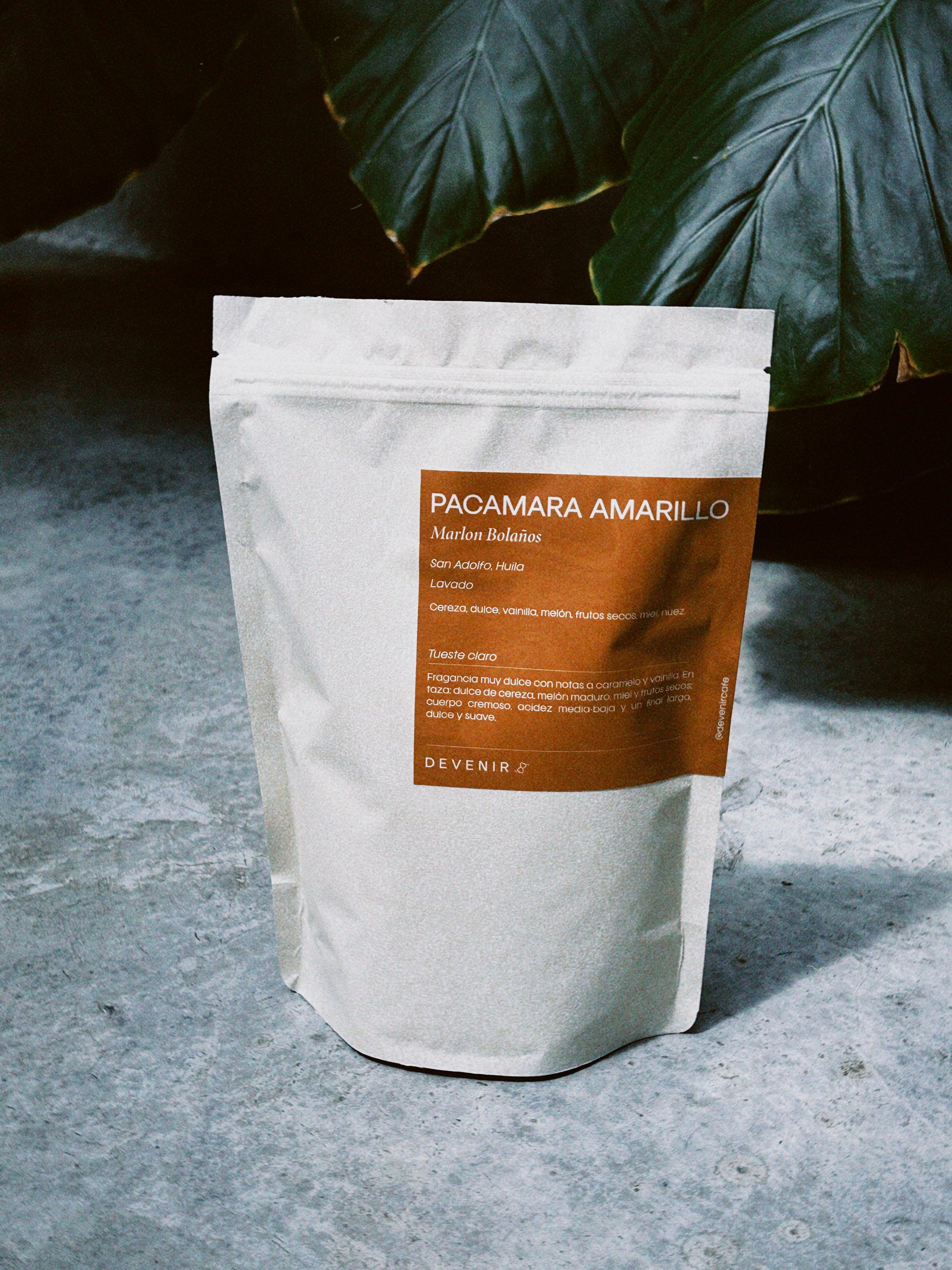 Pacamara Amarillo