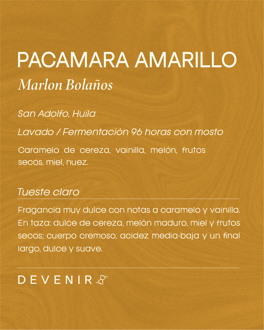 Pacamara Amarillo