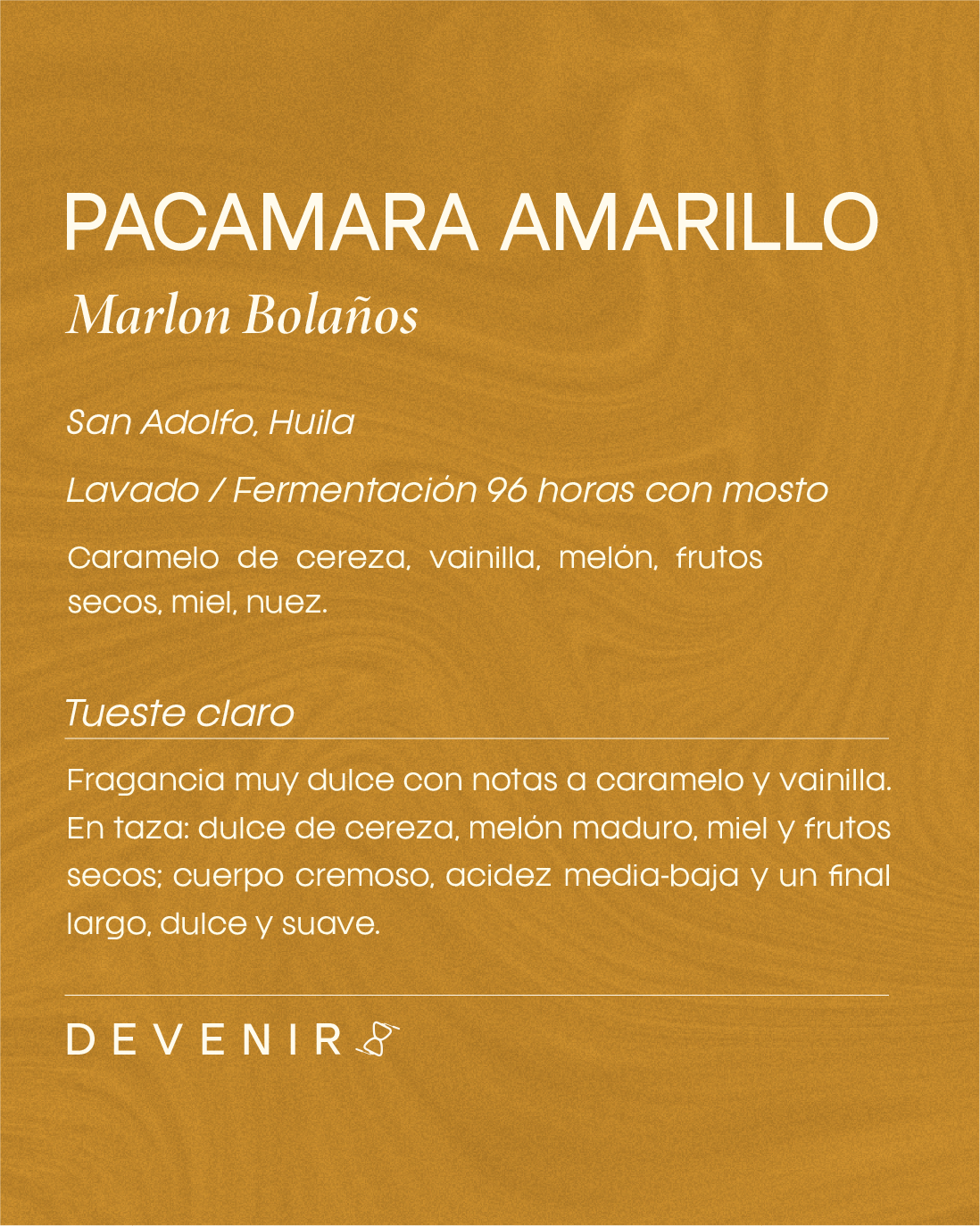 Pacamara Amarillo