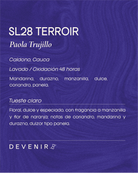 SL28 TERROIR