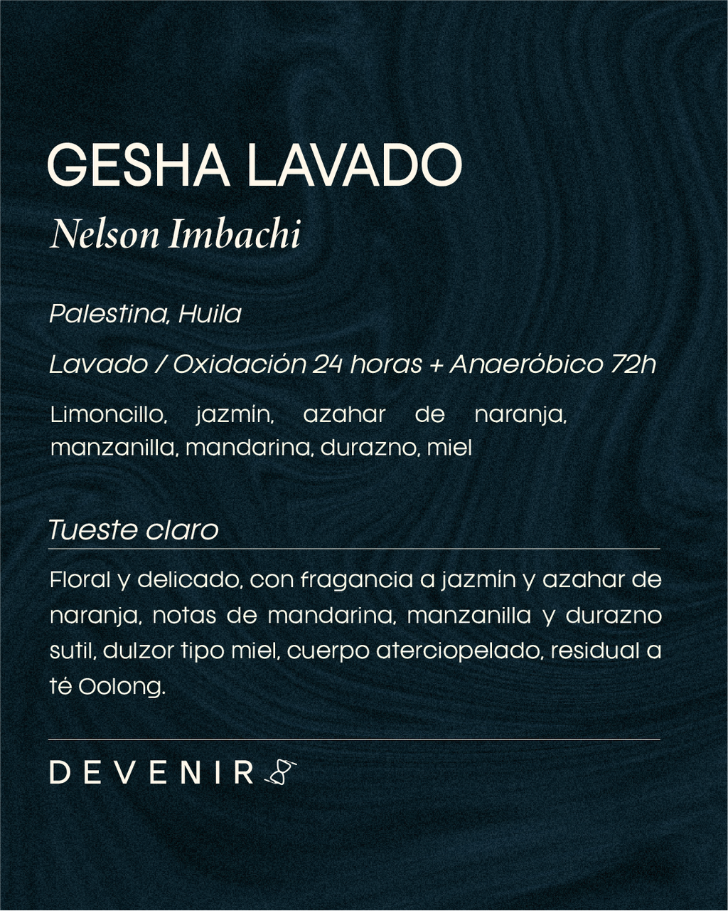 GESHA LAVADO