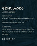 GESHA LAVADO