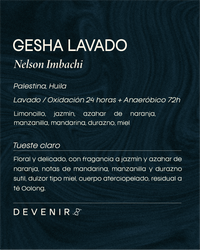 GESHA LAVADO