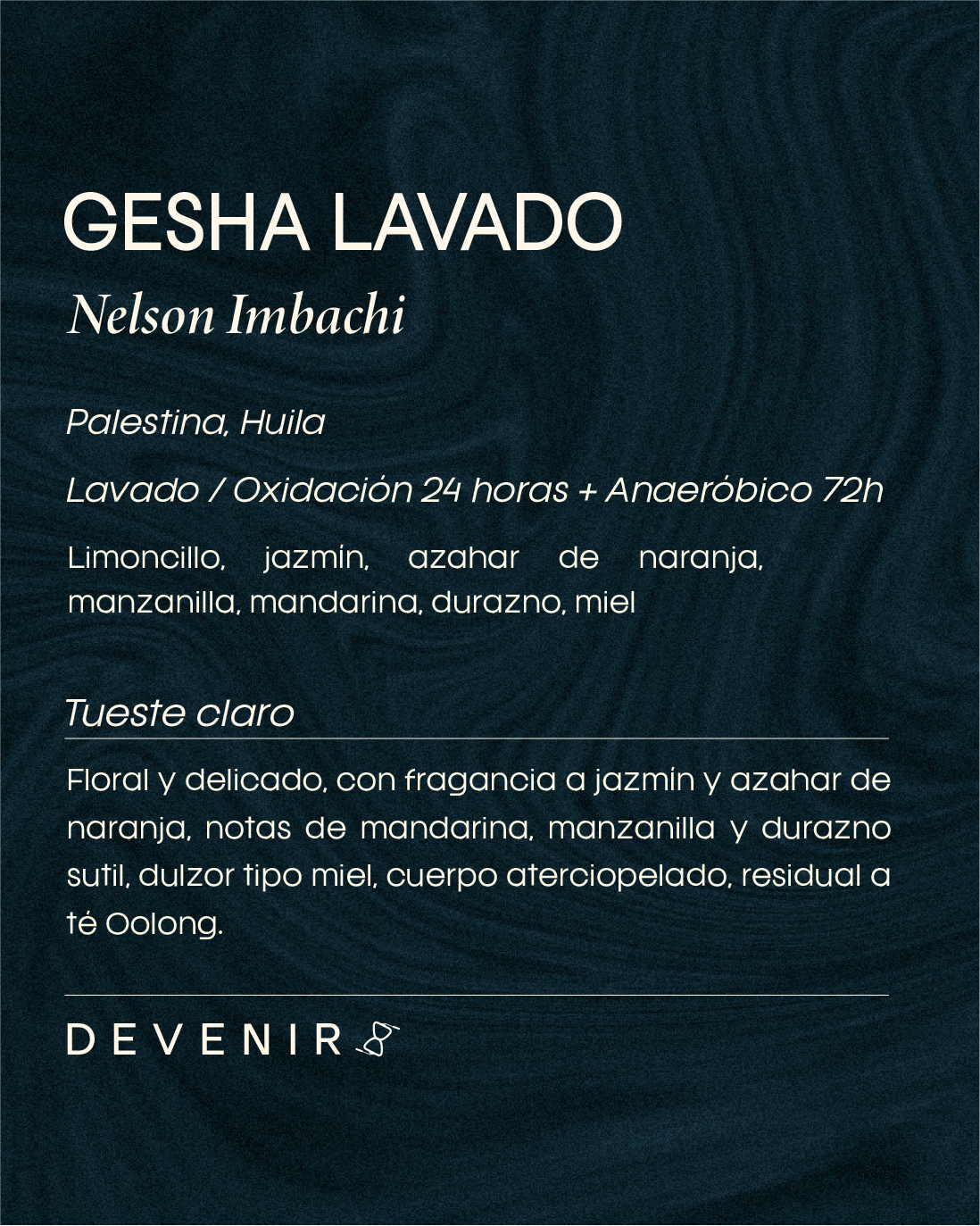GESHA LAVADO